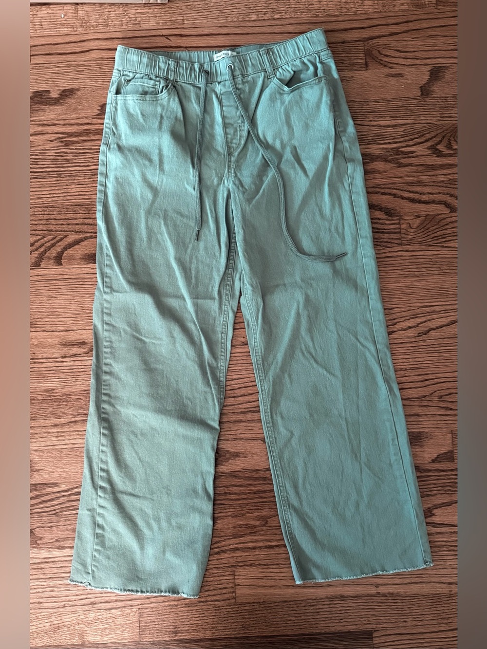 Sincerely Jules Women's Green Wide/Straight leg Pants L Relaxed Drawstring